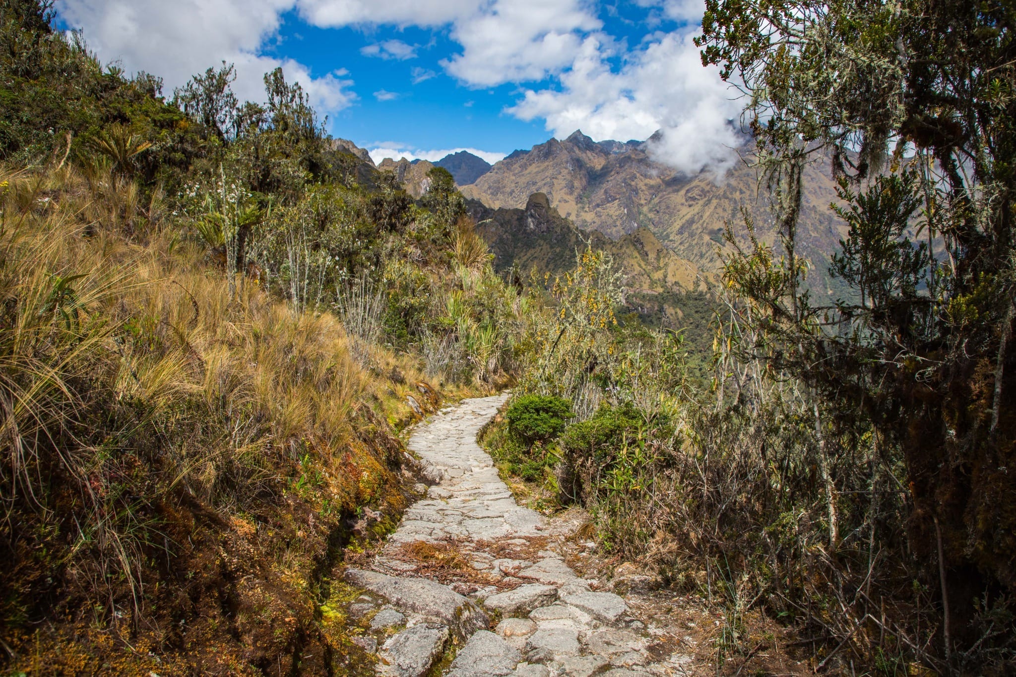 Inca Trail Hike to Machu Picchu 4 Days