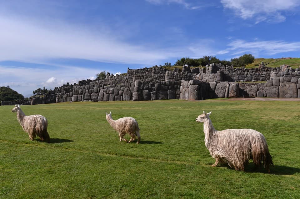 Cusco City tour - medio dia